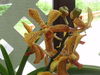 M_2010-07-29_030.JPG